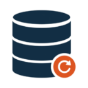 bitnetica backups disaster recovery icon